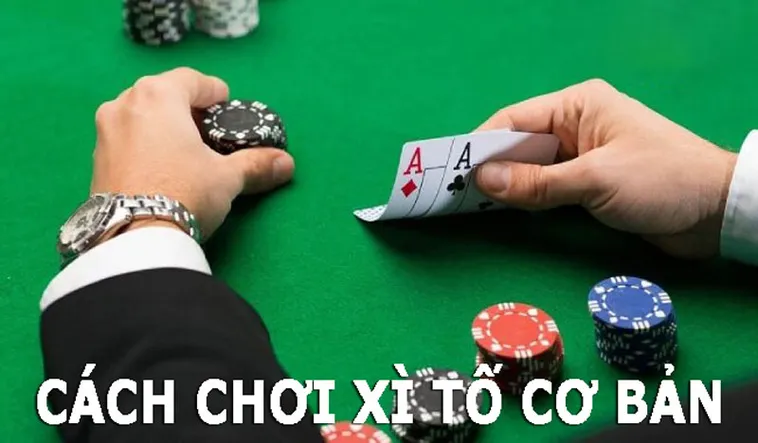 Tìm Hiểu Trò Chơi Xì Tố Tại FB88: Bí Quyết Thắng Lớn