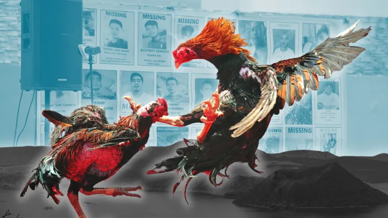 Cách Chơi Đá Gà Sabong Tại FB88 Hấp Dẫn Và Dễ Thắng Nhất 2025